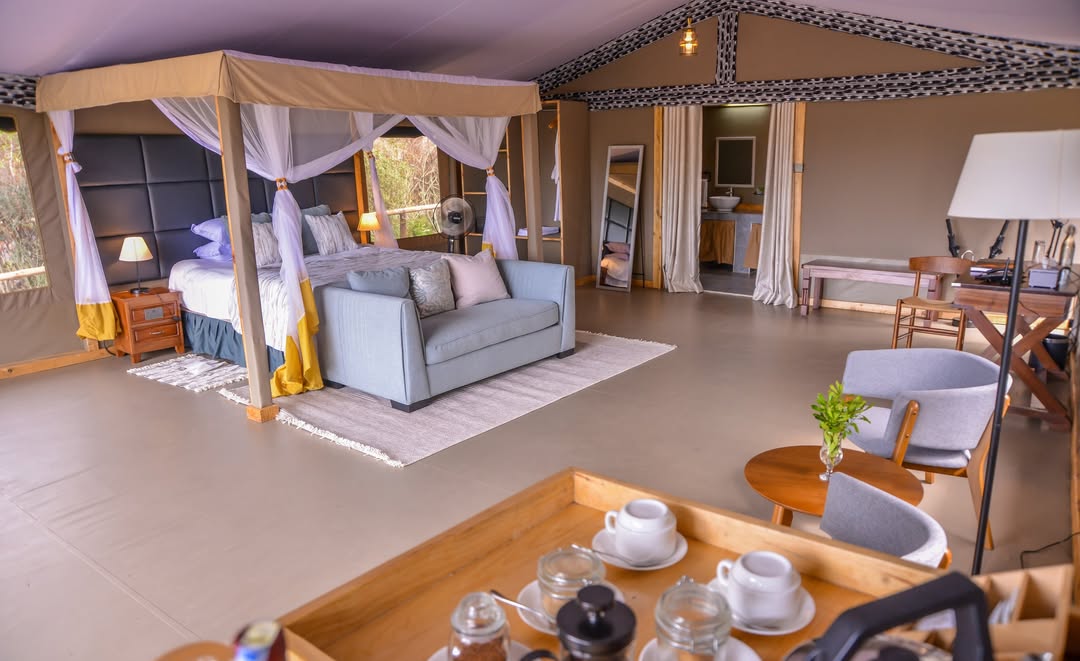 Little Zebra River Camp